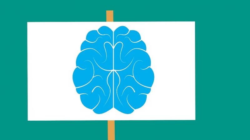 Researchers develop test that could help detect degenerative brain diseases. (Photo: Pixabay) Researchers develop test that could help detect degenerative brain diseases. (Photo: Pixabay)