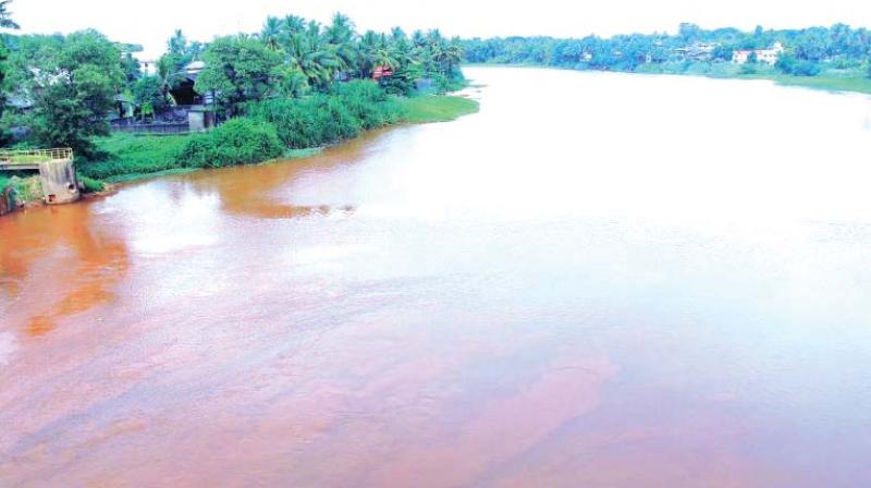 Periyar river. Periyar river.