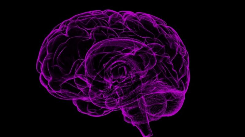 New technique allows scientists to see how brain cells 'talk'. (Photo: Pixabay) New technique allows scientists to see how brain cells 'talk'. (Photo: Pixabay)