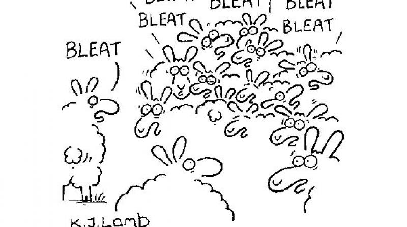 ‘That bleat’s going viral’ ‘That bleat’s going viral’