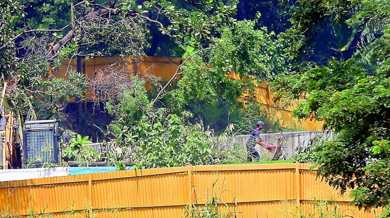 A man cuts a tree branch at the construction site of a metro train parking shed at Aarey Colony, Mumbai, on Monday. Cutting of trees has been halted till October 21. (Photo: AP) A man cuts a tree branch at the construction site of a metro train parking shed at Aarey Colony, Mumbai, on Monday. Cutting of trees has been halted till October 21. (Photo: AP)