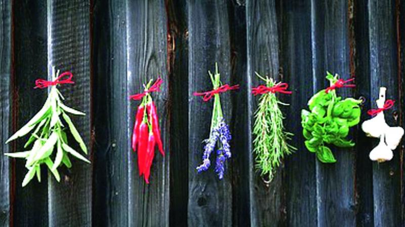 Depending upon your date of birth, numerology shows that what kind of tendencies one can develop and certain kinds of health problems. Depending upon your date of birth, numerology shows that what kind of tendencies one can develop and certain kinds of health problems.