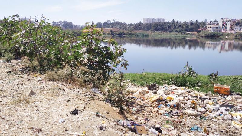 Garbage dumped illegally at Somasundarapalaya Lake. (Photo:DC) Garbage dumped illegally at Somasundarapalaya Lake. (Photo:DC)
