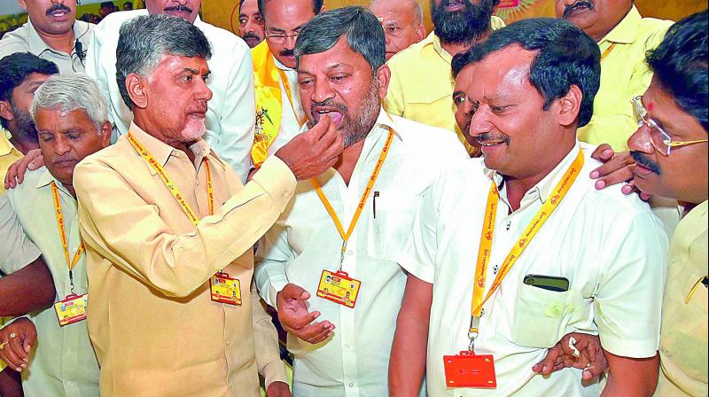 We Want Jr NTR, TDP Workers Demand Babu
