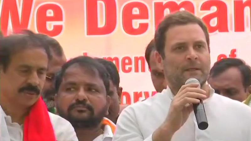 Congress chief Rahul Gandhi met TDP workers, who are protesting at Jantar Mantar over 'special category status' for Andhra Pradesh. (Photo: ANI) Congress chief Rahul Gandhi met TDP workers, who are protesting at Jantar Mantar over 'special category status' for Andhra Pradesh. (Photo: ANI)
