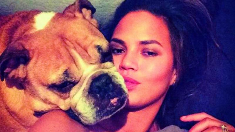 Chrissy Teigen with bulldog Chrissy Teigen with bulldog