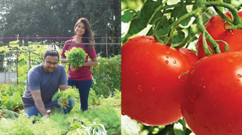 The Farmizen App was started by three founders — Sudaakeran Balasubramanian, Gitanjali Rajamani and Shameek Chakravarty. The Farmizen App was started by three founders — Sudaakeran Balasubramanian, Gitanjali Rajamani and Shameek Chakravarty.
