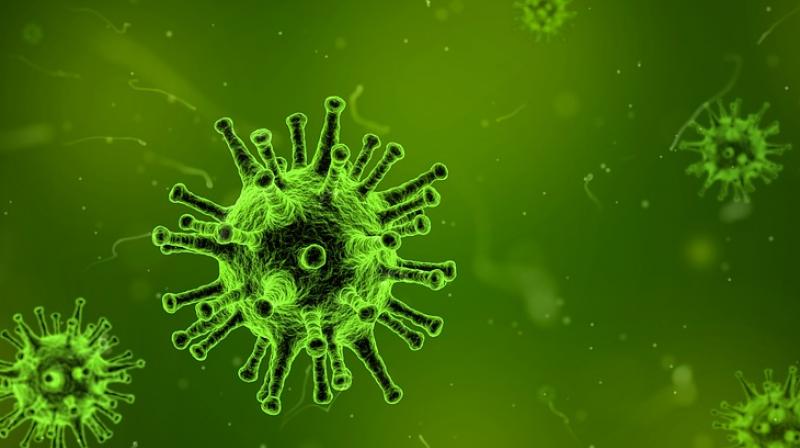 Researchers discover protein that could help tackle flu. (Photo: Pixabay) Researchers discover protein that could help tackle flu. (Photo: Pixabay)