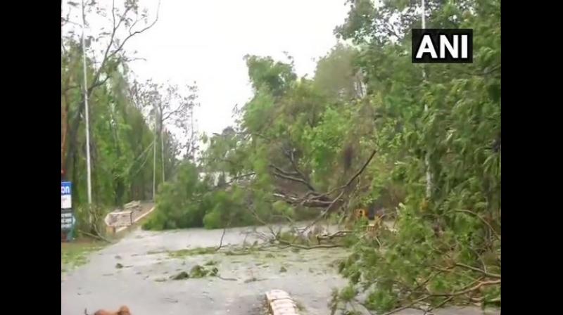 The powerful cyclone, strongest to hit India in 20 years, made landfall at around 8 am in India's eastern state of Odisha, killing at least eight people. (Photo: File) The powerful cyclone, strongest to hit India in 20 years, made landfall at around 8 am in India's eastern state of Odisha, killing at least eight people. (Photo: File)