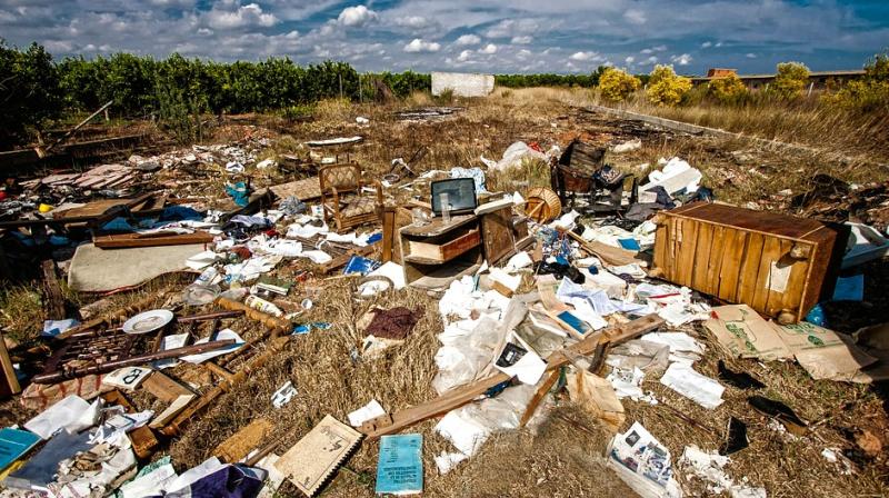 One of the biggest surprises is that US consumption also caused species threat hotspots in southern Spain and Portugal. (Photo: Pixabay) One of the biggest surprises is that US consumption also caused species threat hotspots in southern Spain and Portugal. (Photo: Pixabay)