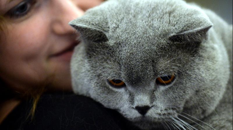 The illness was mild, short-lived, and has resolved (Photo: AFP) The illness was mild, short-lived, and has resolved (Photo: AFP)