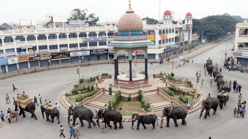 Four elephants are being trained to carry the 750kg golden howdah. A sand bag weighing 400 kgs was placed in a cradle on elephant Arjuna, who is the favourite to carry it, on Friday. Four elephants are being trained to carry the 750kg golden howdah. A sand bag weighing 400 kgs was placed in a cradle on elephant Arjuna, who is the favourite to carry it, on Friday.
