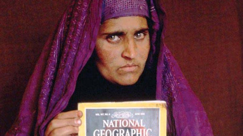 Sharbat Gula Sharbat Gula
