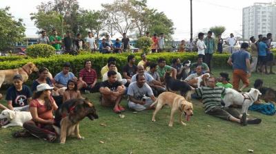 The park has dog training and exercise equipment, splash pool, 2 lawns, an amphitheatre, loo cafe, separate enclosures for big and small dogs. (Representational Image | Facebook @dogs5151)