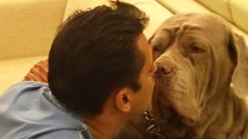 Salman Khan with MyLove. Salman Khan with MyLove.