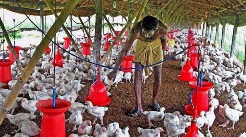 Representatieve image (PTI Photo)