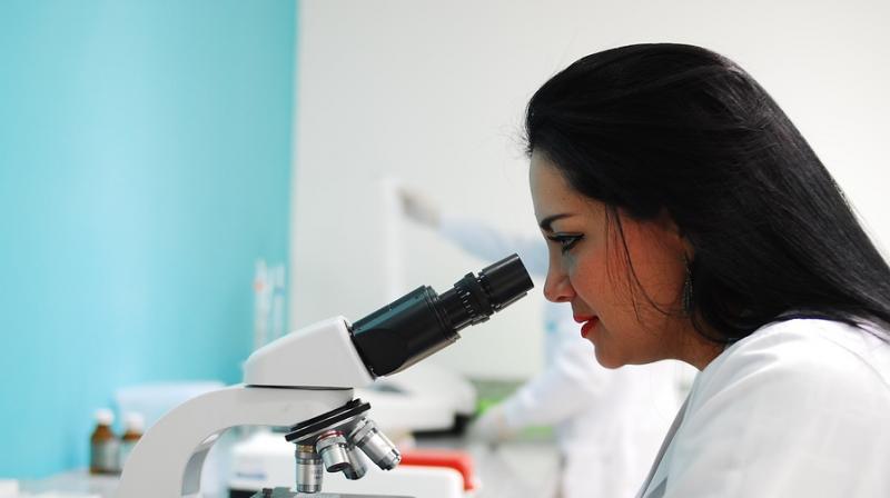 Scientists identify small protein with a huge effect. (Photo: Pixabay) Scientists identify small protein with a huge effect. (Photo: Pixabay)