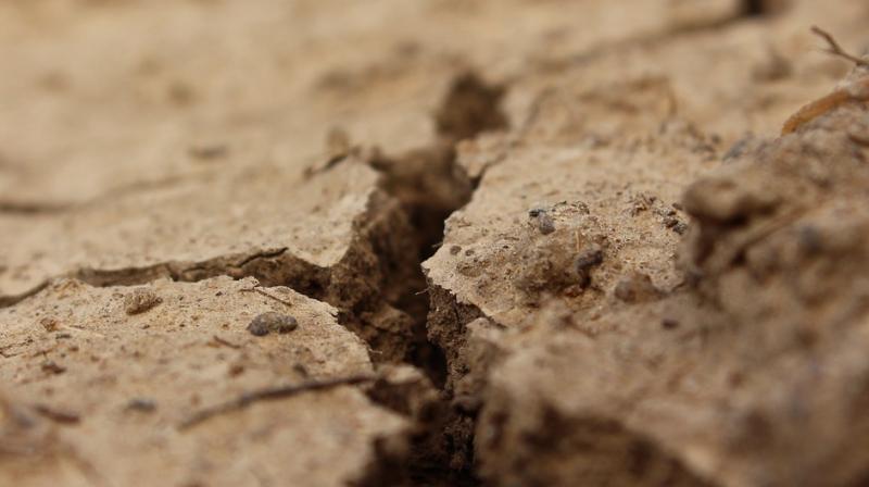 The study, published in the journal Nature Communications, suggests that an antibiotic found in dirt can destroy mutant mycobacteria. (Photo: Pixabay) The study, published in the journal Nature Communications, suggests that an antibiotic found in dirt can destroy mutant mycobacteria. (Photo: Pixabay)