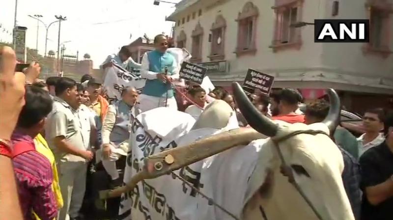The rally started at the Red Fort and concluded at Sadar Bazar. (Photo: Twitter | ANI) The rally started at the Red Fort and concluded at Sadar Bazar. (Photo: Twitter | ANI)