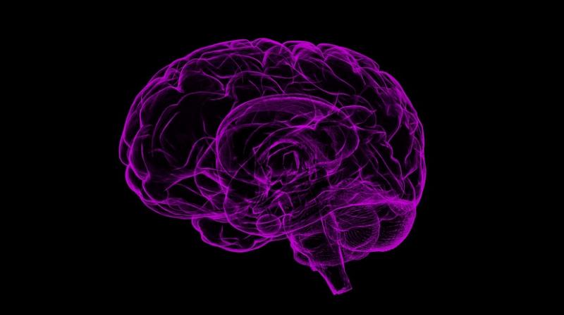 Scientists identify brain roots of pessimism. (Photo: Pixabay) Scientists identify brain roots of pessimism. (Photo: Pixabay)