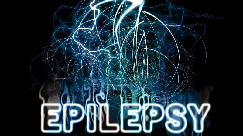 Brain proteins reveal clues to understanding epilepsy. (Photo: Pixabay) Brain proteins reveal clues to understanding epilepsy. (Photo: Pixabay)