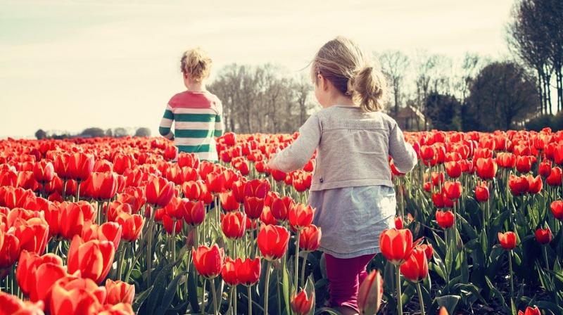 Farmers request: Enjoy the flowers, respect our pride. (Photo: Representational/Pixabay) Farmers request: Enjoy the flowers, respect our pride. (Photo: Representational/Pixabay)