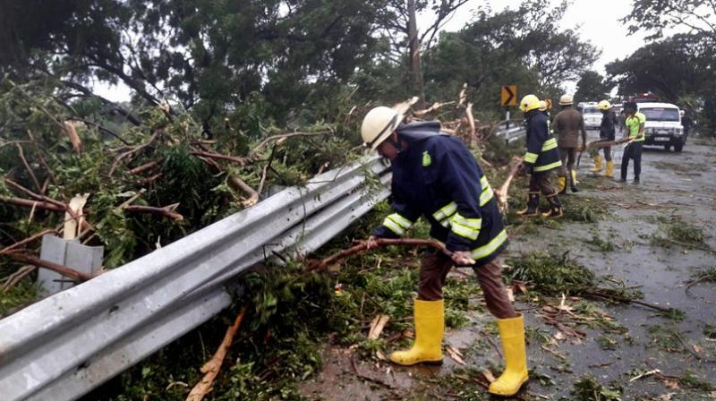 Fire Service personnel removing a huge trunk of a tree that fell during a storm at Nagercoil in Kanyakumari district. (Photo: PTI) Fire Service personnel removing a huge trunk of a tree that fell during a storm at Nagercoil in Kanyakumari district. (Photo: PTI)