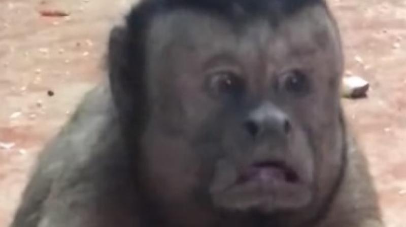 The video has been viewed at least eight million times (Photo: YouTube) The video has been viewed at least eight million times (Photo: YouTube)