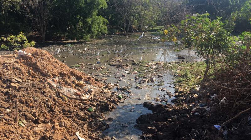Mallasandra Gudde lake in Jalahalli. Mallasandra Gudde lake in Jalahalli.