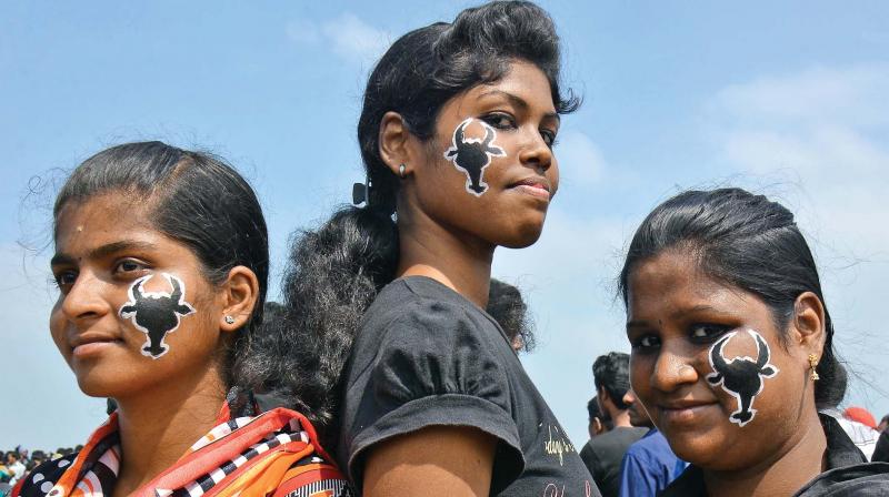 jallikattu protesters jallikattu protesters
