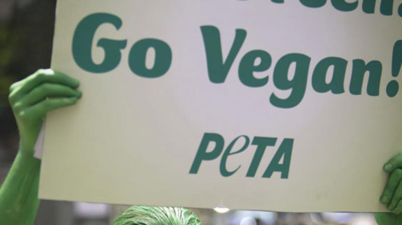 The letter, addressed to Devang V Khakhar, Director, IIT Bombay says that there are some 77 billion land animals that are farmed a year. (Photo: AP) The letter, addressed to Devang V Khakhar, Director, IIT Bombay says that there are some 77 billion land animals that are farmed a year. (Photo: AP)