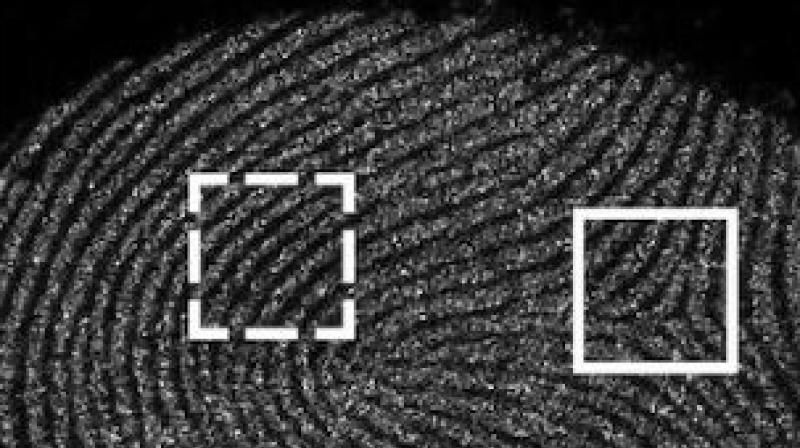 Details from a fingerprint image taken from a distance of 1 meter by the SAVI prototype developed at Rice and Northwestern. Details from a fingerprint image taken from a distance of 1 meter by the SAVI prototype developed at Rice and Northwestern.