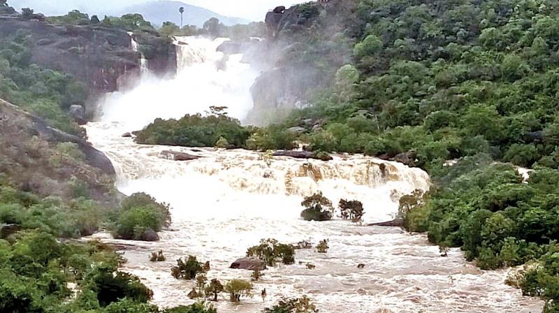 Flooded Agasthiyar falls at Papanasam in Tirunelveli district on Monday. (Image: DC) Flooded Agasthiyar falls at Papanasam in Tirunelveli district on Monday. (Image: DC)