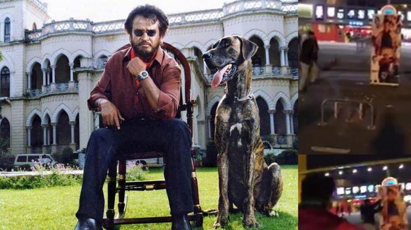 Rajini's last release was the all-time blockbuster 'Kabali'. Rajini's last release was the all-time blockbuster 'Kabali'.