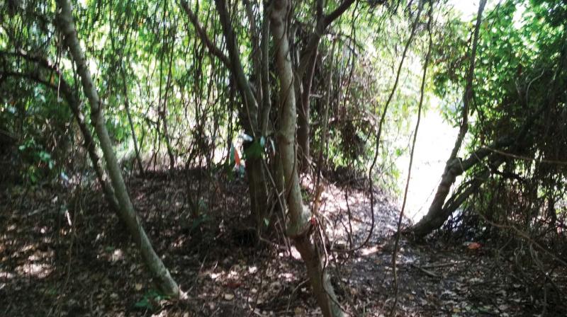 The spot where the Latvian tourist was found dead. The spot where the Latvian tourist was found dead.