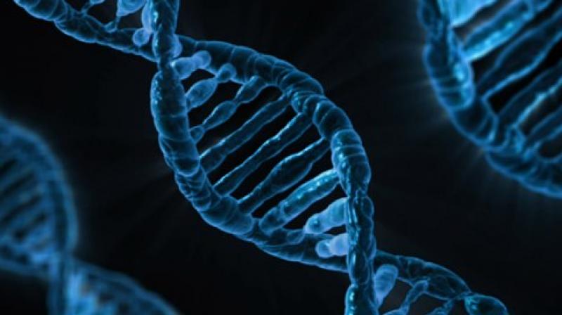 Hemophilia almost always strikes males and is caused by lack of a gene that makes a protein needed for blood to clot. (Photo: Pixabay) Hemophilia almost always strikes males and is caused by lack of a gene that makes a protein needed for blood to clot. (Photo: Pixabay)