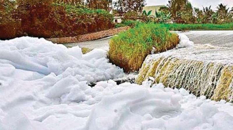 Mr Subramaniam said, “Of 2,300 tonne of human excreta produced in the city, 2/3 rd is not cleared by the BWSSB. Unless sewage is not stopped from entering the lakes, they cannot be saved.” (Representational Image) Mr Subramaniam said, “Of 2,300 tonne of human excreta produced in the city, 2/3 rd is not cleared by the BWSSB. Unless sewage is not stopped from entering the lakes, they cannot be saved.” (Representational Image)