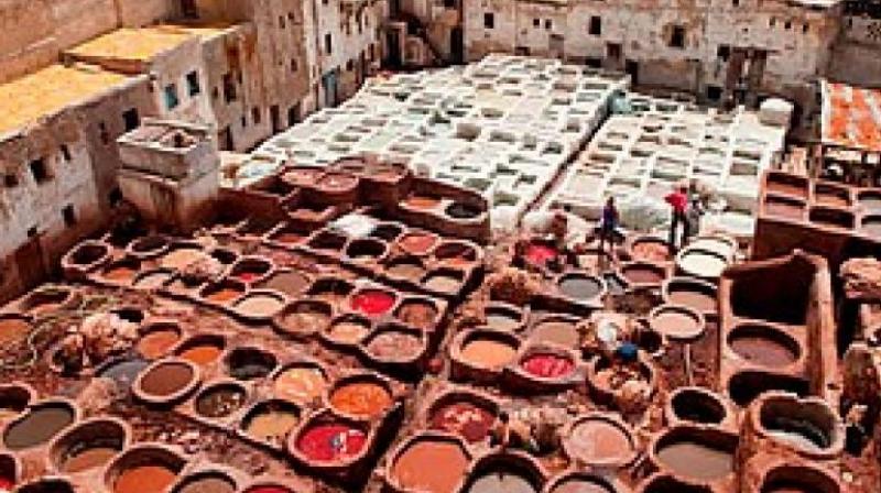 The state government has decided to remove the leather tanning activity from the project at the recent board meeting of KPILC. The state government has decided to remove the leather tanning activity from the project at the recent board meeting of KPILC.