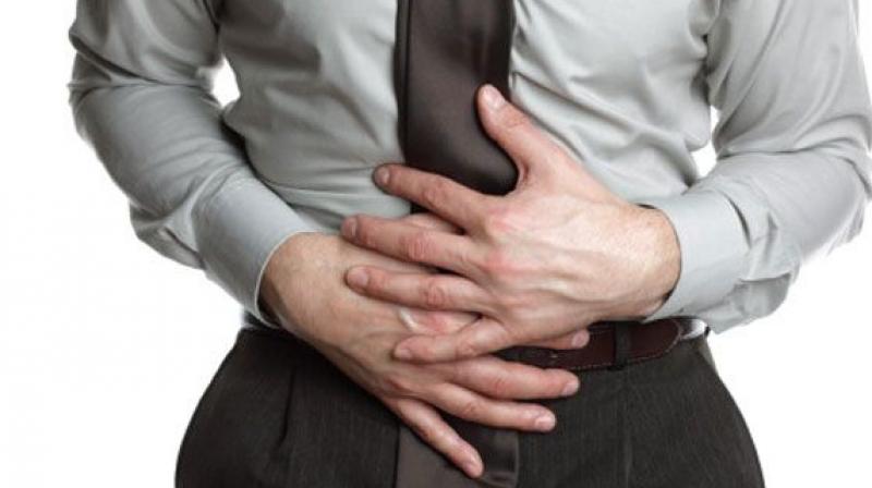There are many different diet strategies that claim to promote gut health. (Representational Image) There are many different diet strategies that claim to promote gut health. (Representational Image)