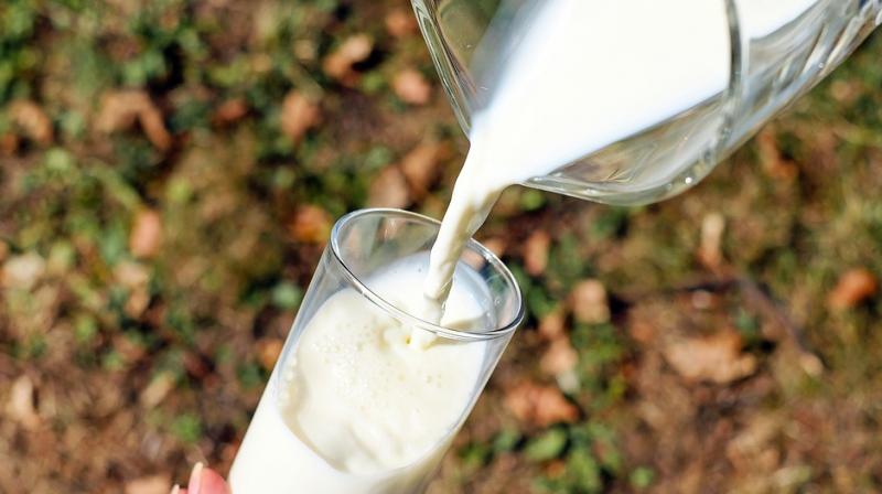 Adults should ideally consume about 0.8 grams of protein per kilogram of body weight each day. (Photo: Pixabay) Adults should ideally consume about 0.8 grams of protein per kilogram of body weight each day. (Photo: Pixabay)