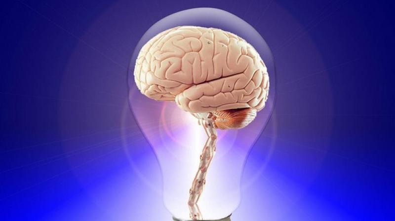 Researchers know that leptin, a hormone produced by fat cells, is important in the control of body weight both in humans and mice. (Photo: ANI) Researchers know that leptin, a hormone produced by fat cells, is important in the control of body weight both in humans and mice. (Photo: ANI)