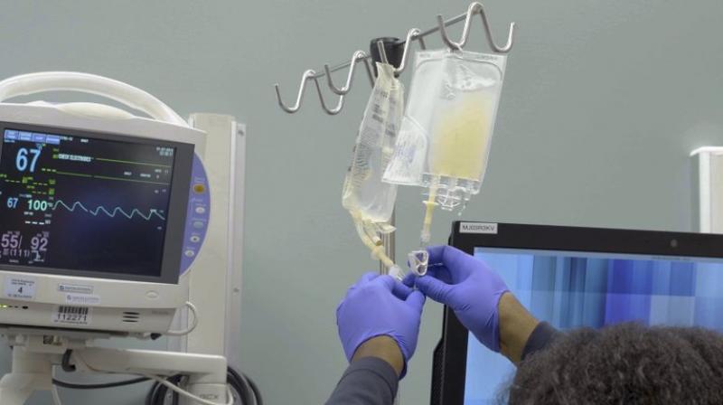 So far, the cells have survived and have been multiplying as intended. (Photo: AP) So far, the cells have survived and have been multiplying as intended. (Photo: AP)