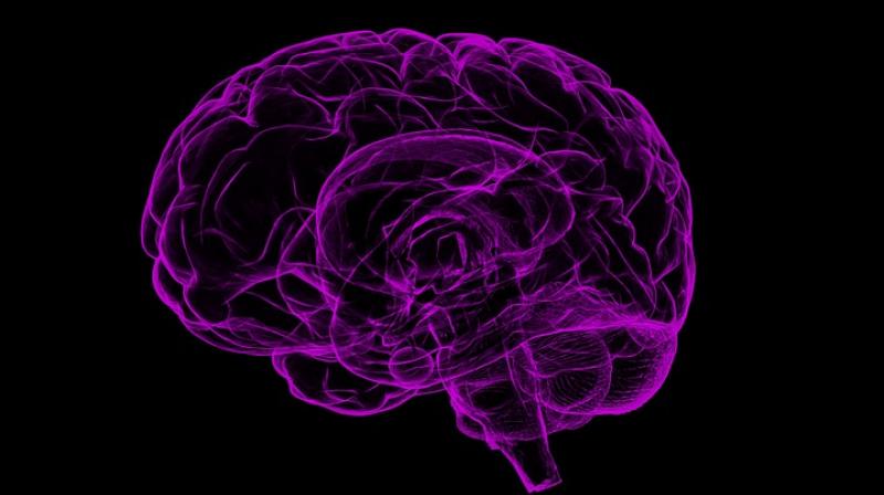 Scientists create tiny impant to deliver drugs deep into the brain. (Photo: Pixabay) Scientists create tiny impant to deliver drugs deep into the brain. (Photo: Pixabay)