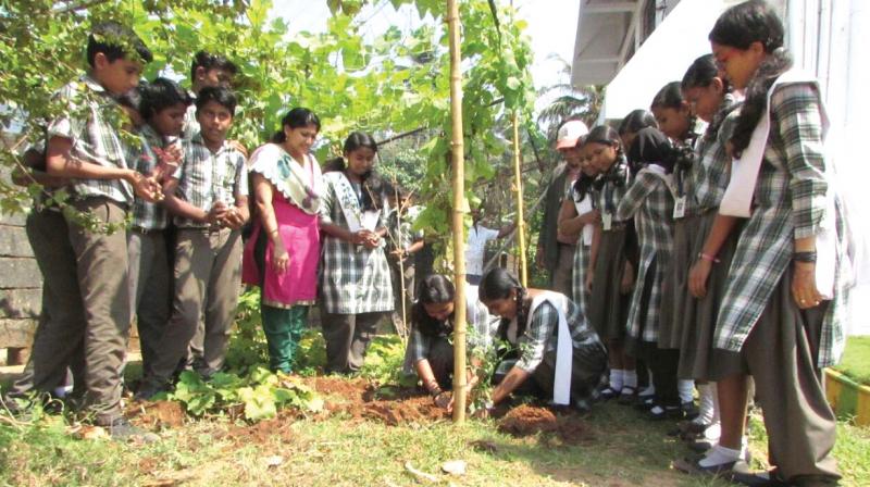 Students planting saplings as part of ‘My Nature - My Valentine’ challenge on Tuesday. Students planting saplings as part of ‘My Nature - My Valentine’ challenge on Tuesday.