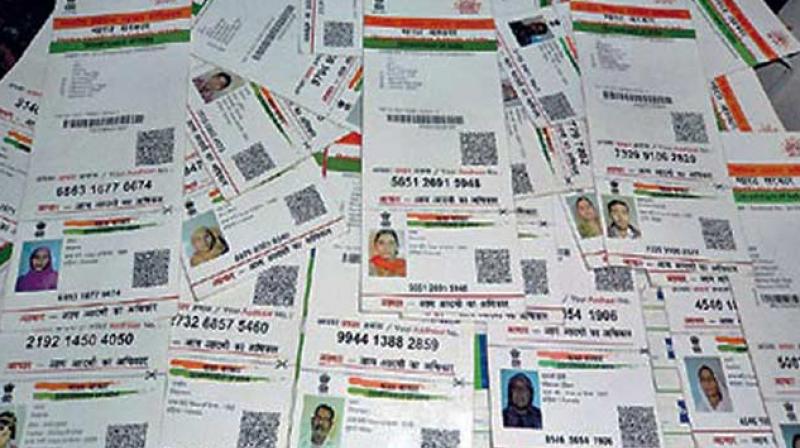 The government had previously made quoting of Aadhaar necessary for availing government benefits and subsidies like those on cooking gas LPG. (Representational Image) The government had previously made quoting of Aadhaar necessary for availing government benefits and subsidies like those on cooking gas LPG. (Representational Image)
