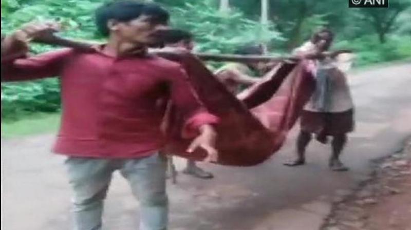 Tribals here had to carry the body of their relative who died during treatment at an NGO-run hospital in Gunupur village in Kalahandi district of Odisha in a sling made of cloth after authorities denied to provide a hearse van. (Photo: ANI) Tribals here had to carry the body of their relative who died during treatment at an NGO-run hospital in Gunupur village in Kalahandi district of Odisha in a sling made of cloth after authorities denied to provide a hearse van. (Photo: ANI)