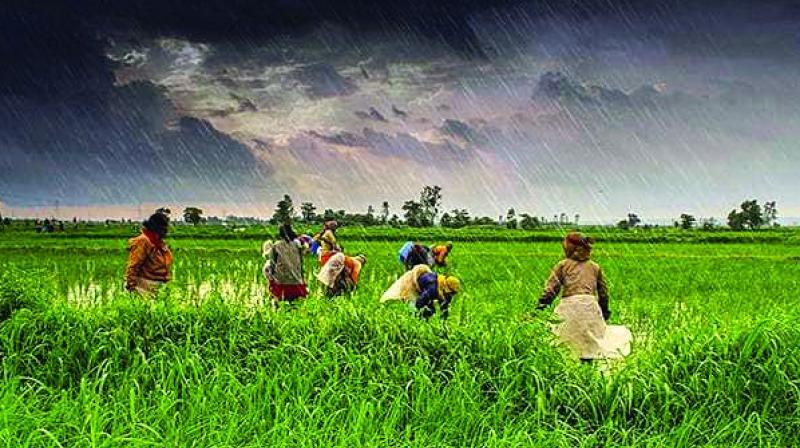 Srivastava said plus or minus 19 per cent rains is a normal range and nothing to worry about. Srivastava said plus or minus 19 per cent rains is a normal range and nothing to worry about.