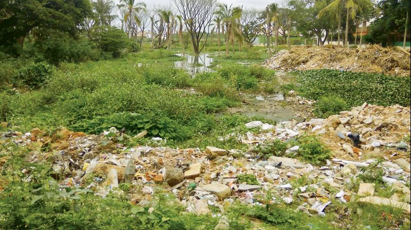 Kaggadasapura lakebed covered with construction debris and garbage. (Photo: R. Samuel) Kaggadasapura lakebed covered with construction debris and garbage. (Photo: R. Samuel)