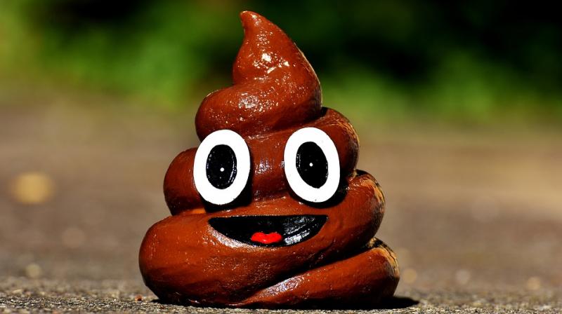 Notably, western men, with a life expectancy of 76-years produce 11,030kg of excrement in their lives. (Photo: Pixabay)