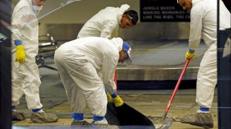 A hazmat crew cleans up baggage claim Terminal Two at Fort Lauderdale-Hollywood International Airport Terminal the day after multiple people were shot on Friday. (Photo: AP) A hazmat crew cleans up baggage claim Terminal Two at Fort Lauderdale-Hollywood International Airport Terminal the day after multiple people were shot on Friday. (Photo: AP)